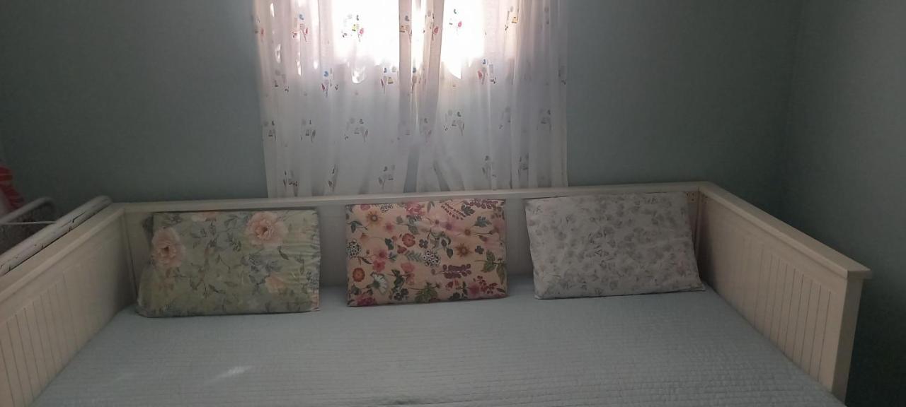 Ambelakia Εξοχικό Roxani 빌라 외부 사진