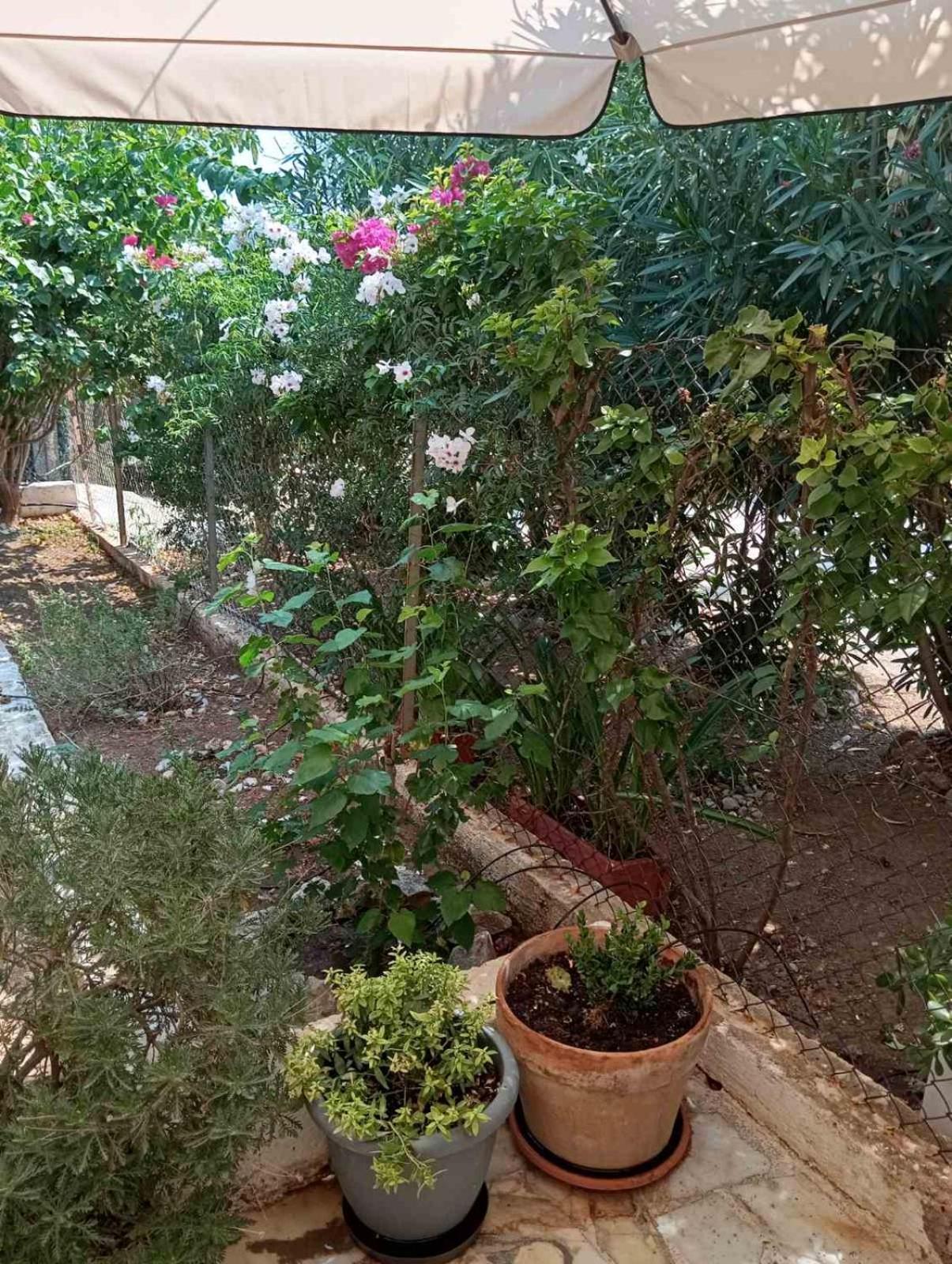 Ambelakia Εξοχικό Roxani 빌라 외부 사진